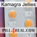 Kamagra Jellies 24